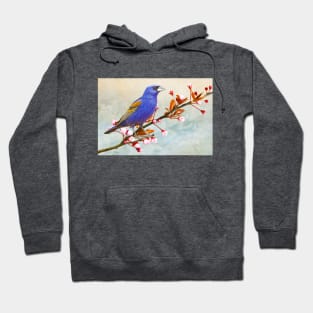 Blue Grosbeak Hoodie